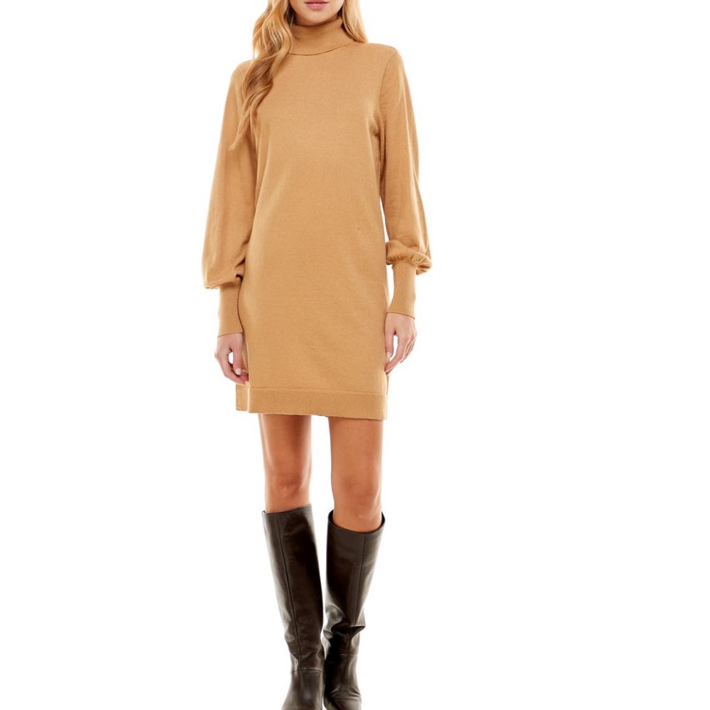 WAYF Long Sleeved Turtleneck Sweater Dress